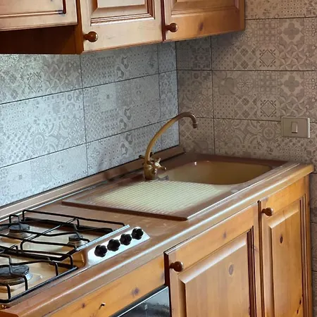 Il Geco Di Montagna *