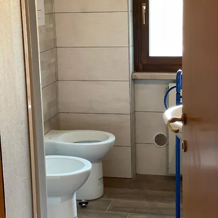 Il Geco Di Montagna *