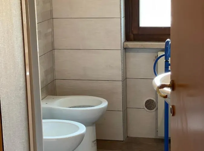 Il Geco Di Montagna *